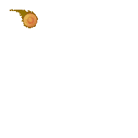 Dragonball Pod Sticker
