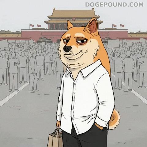 Shiba Inu Whatever GIF by Doge Pound