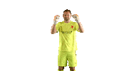 Celebrating Ondrej Kolar Sticker by SK Slavia Praha