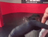 Ring Around The Rosie Spinning GIF
