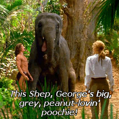 george of the jungle disney GIF