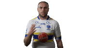 The Wire Harrison Sticker by Warrington Wolves