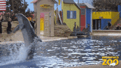 See Ya Later Lol GIF by Brookfield Zoo