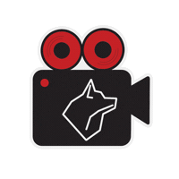 Camera Shooting Sticker by Wolf Media