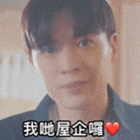 Tiger Mirror GIF by ViuTV