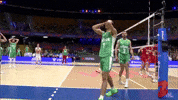 Vnl Facepalm GIF