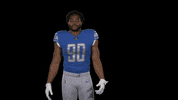 No Way What GIF by Detroit Lions