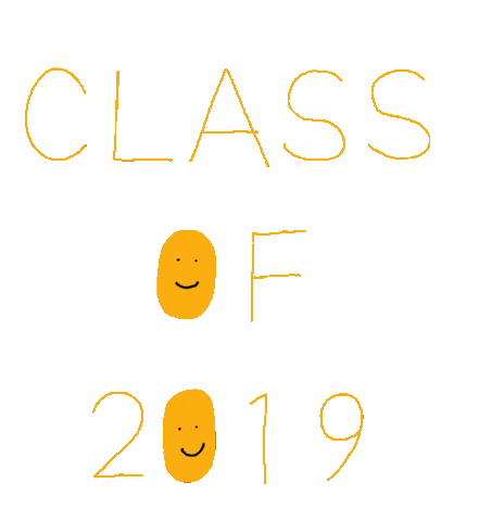 Graduation Class Of 2019 Sticker
