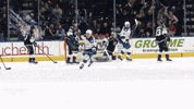Hockey Ahl GIF by Colorado Eagles