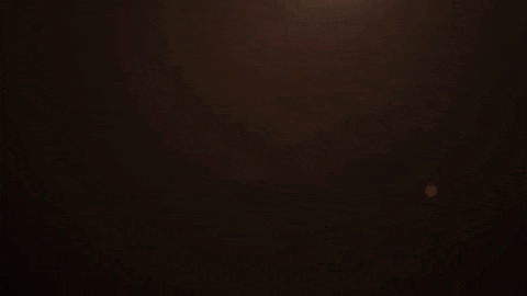 labemi horse mustang labemi s550guru GIF