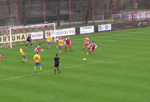 prosa391112 giphyupload GIF