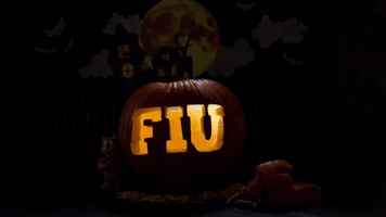 halloween pumpkin GIF by FIU