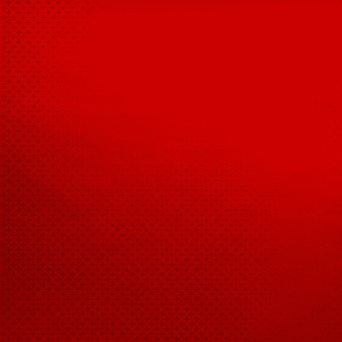 Posing Bayer 04 GIF by Bayer 04 Leverkusen