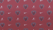 Volleyball Wildcats GIF by CWU Athletics