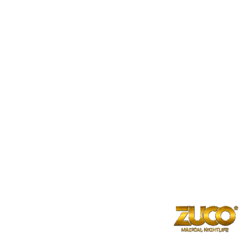 Party Nightlife Sticker by ZUCO Nightclub