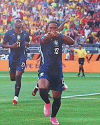 Endrick GIF