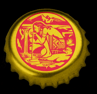 TopoChicoUSA mexico monterrey sparkling water mineralwater GIF