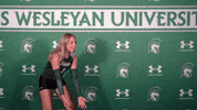 Iwuwvb24 GIF by iwusports