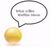 Text What GIF
