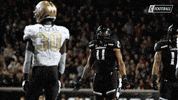 College Football Hype GIF by Cincinnati Bearcats