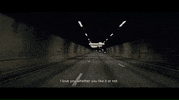Sundance Film Festival GIF by Signature Entertainment