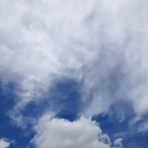 disney GIF by Brittlestar