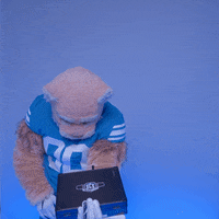 Byu Football Sport GIF by BYU Cougars