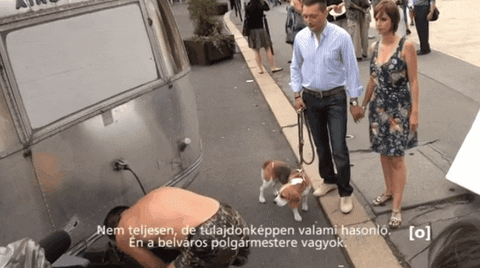 akinorev giphyupload rogán cecília roganantal gaalcecilia GIF