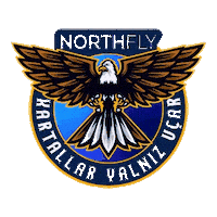 Ppl Cessna Sticker by northfly