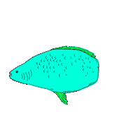 Happy Ocean Sticker by carolina.ibanez