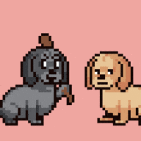 Dog GIF by Abstract HotDogs