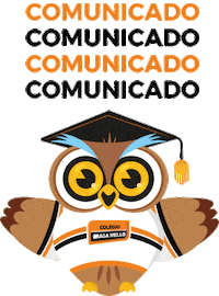 bragamello escola coruja cbm braga mello Sticker