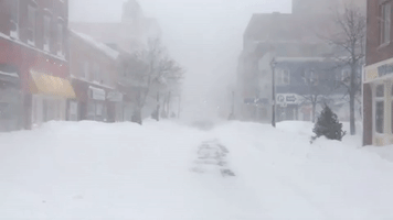 Blizzard Winds Blow Across New Brunswick
