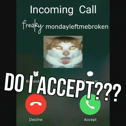 Cat Calling GIF