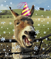 ane GIF