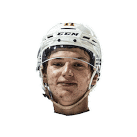 Erie Otters Ohl Sticker by OttersHockey