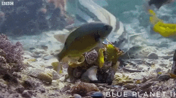 oh no escape GIF by OctoNation