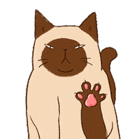 Cat Want Sticker by Niufy