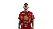 Handball Tusn Sticker by tusnluebbecke