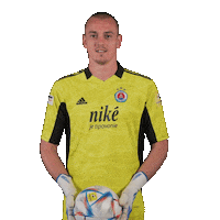 Football Soccer Sticker by Fortuna Liga