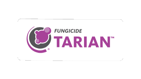 Agriculture Tarian Sticker by Wilbur-Ellis Agribusiness