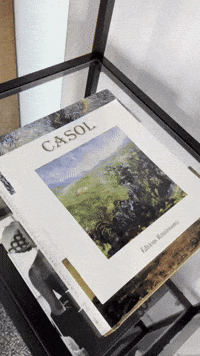 Interior Design Art GIF by Casol
