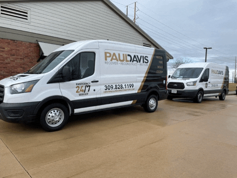 PaulDavisCTIL giphygifmaker recover restoration restore GIF