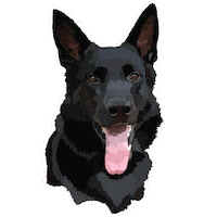 hdascoli694 dog dogs german shepherd black dog Sticker