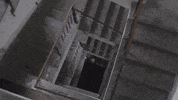 season 1 GIF by Comrade Detective