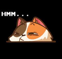 ediediediii cat angry interesting suspicious GIF
