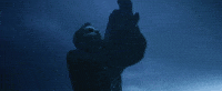 Ec Pascal GIF