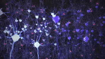 Research Alzheimers GIF by MIT
