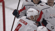 Happy Washington Capitals GIF by NHL