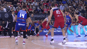 Liga Endesa Basketball GIF by ACB